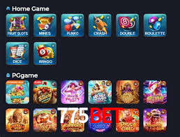 Crash Games Strategies 775bet