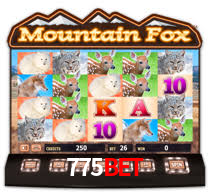 775bet.com
